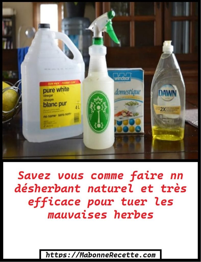 Savez vous comment faire un désherbant naturel et très efficace pour tuer les mauvaises herbes